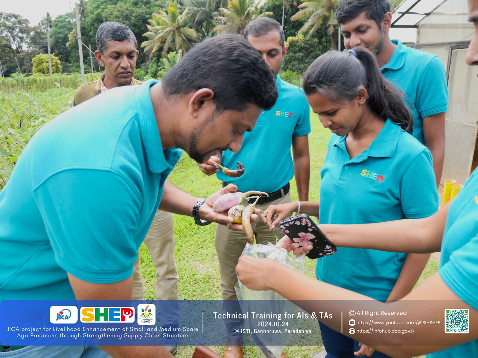 Technical Training for Agricultural Extension Officers - Information Hub