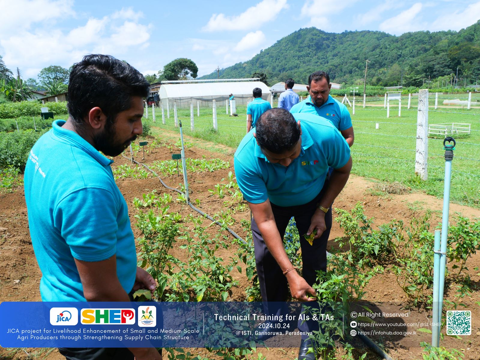 Technical Training for Agricultural Extension Officers - Information Hub