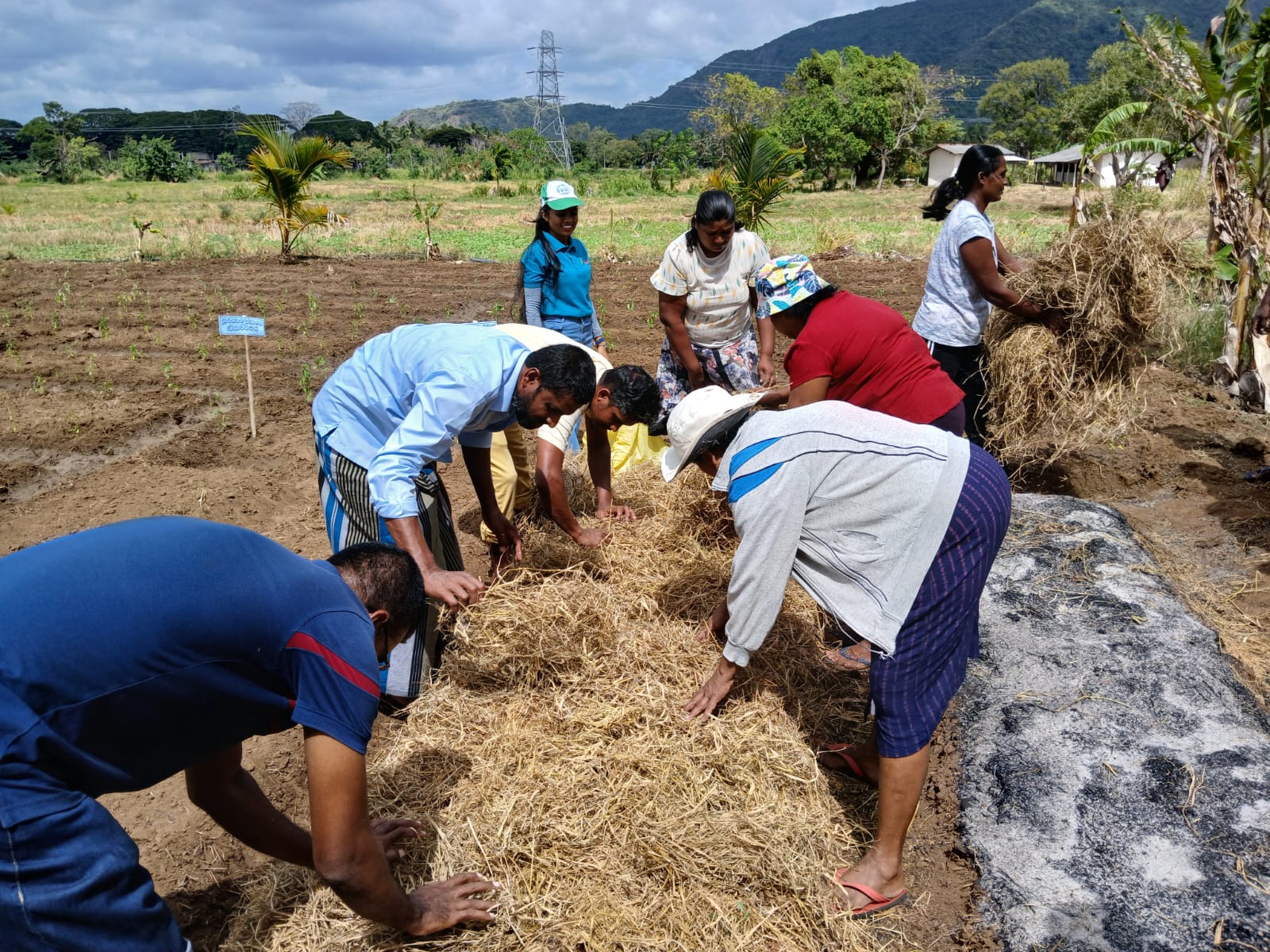 In-field Training