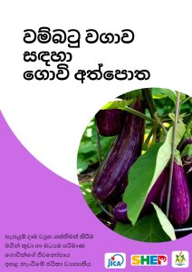brinjal