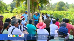 නිරාවරණ ක්ෂේත්‍ර චාරිකා